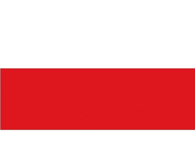 Vlag Polen (20 x 30 cm)