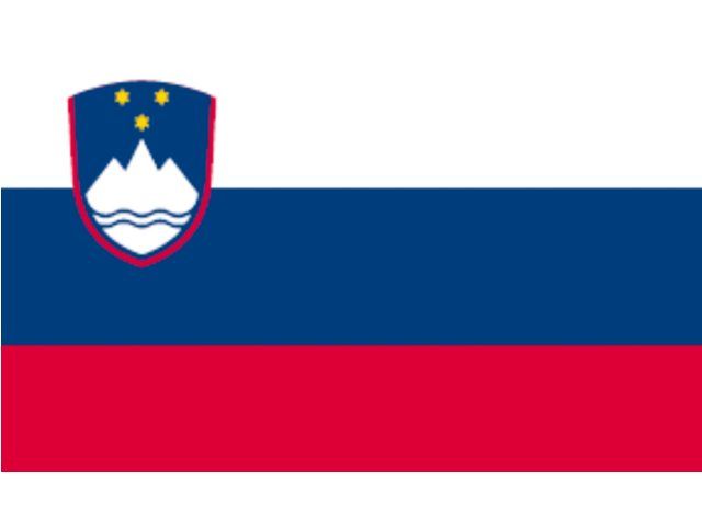 Vlag Slovenië (20 x 30 cm)