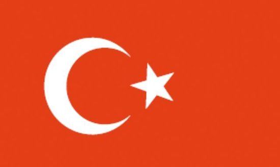 Vlag Turkije (20 x 30 cm)