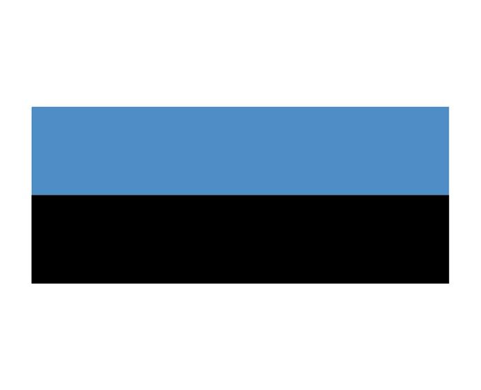 Vlag Estland (20 x 30 cm)
