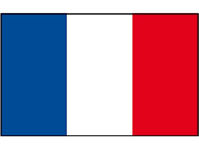 Vlag Frankrijk (30 x 45 cm)