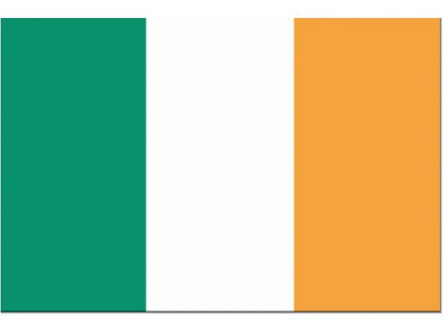 Vlag Ierland (20 x 30 cm)