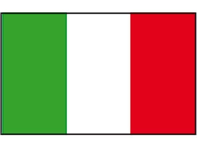 Vlag Italië (20 x 30 cm)