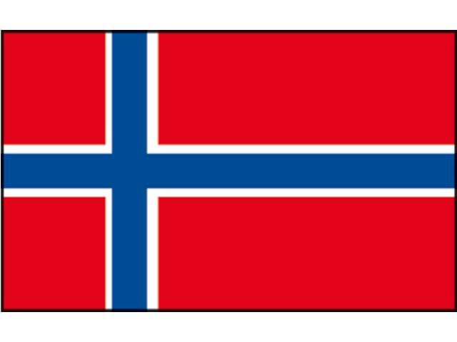 Vlag Noorwegen (30x45 cm)