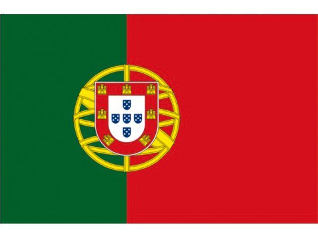 Vlag Portugal (20 x 30 cm)