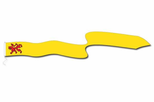 110309wimpel zuid holland.JPG